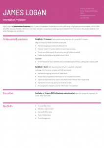 Data Entry Resume Examples Mid-Career