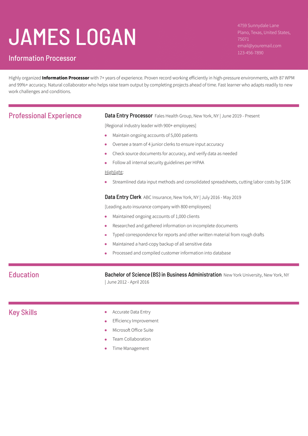 Data Entry Resume Example