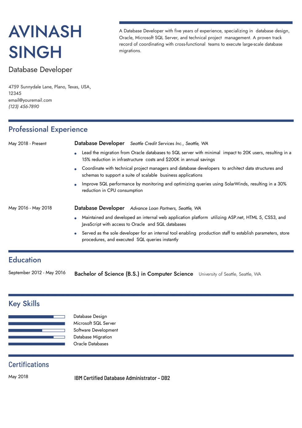 Database Developer Resume Example