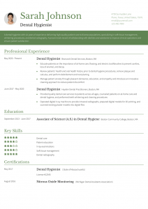 Dental Hygienist Resume Example