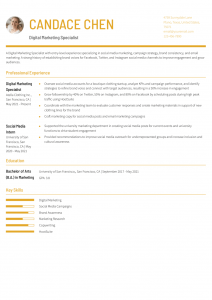 Digital Marketing Specialist Resume Examples Entry Level