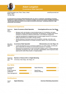 E-commerce Retail Resume Examples Senior-Level