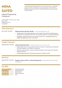 Engineering Internship Resume Examples Mid-Career