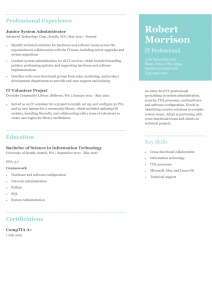 Entry-Level Information Technology Resume Examples Senior-Level