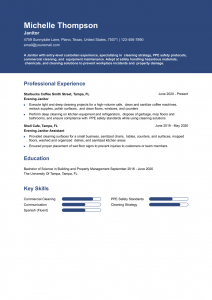 Entry-Level Janitor Resume Examples Entry Level