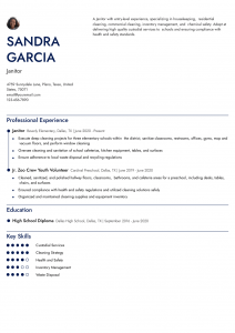 Entry-Level Janitor Resume Examples Senior-Level