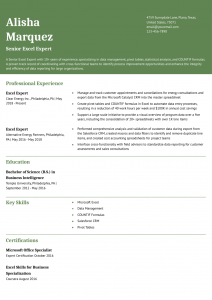 Excel Expert Resume Examples Mid-Career