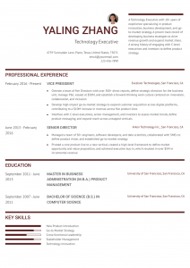 Executive Resume Example