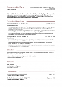 Executive Resume Examples Senior-Level