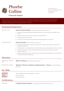 Financial Analyst Resume Examples Senior-Level