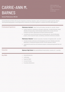 General Maintenance Resume Examples Entry Level