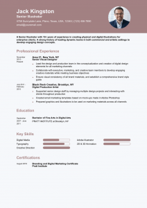 Illustrator Resume Examples Senior-Level