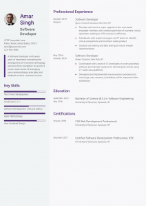 Information Technology (IT) Resume Example