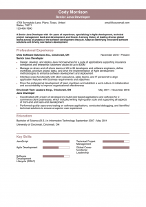 Java Developer Resume Examples Senior-Level