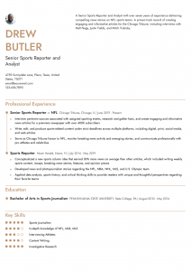 Journalism Resume Examples Senior-Level