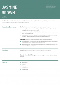 Law Clerk Resume Examples Senior-Level