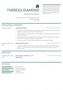 Marketing Intern Resume Examples Entry Level