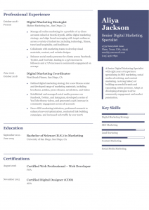 Marketing Resume Examples Mid-Career