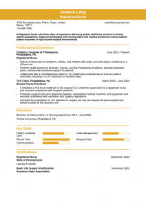 Nurse Resume Examples Entry Level