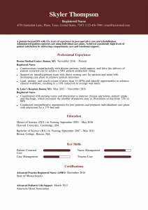 Nurse Resume Examples Senior-Level