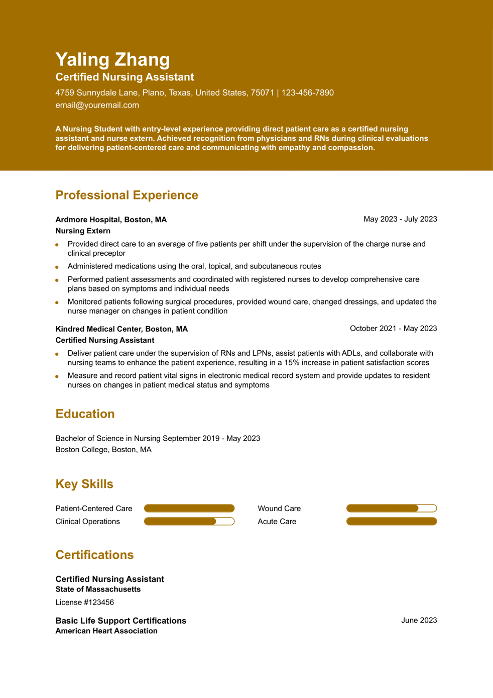 Nursing Student Resume Example