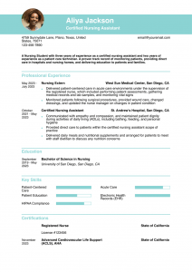 Nursing Student Resume Examples Senior-Level