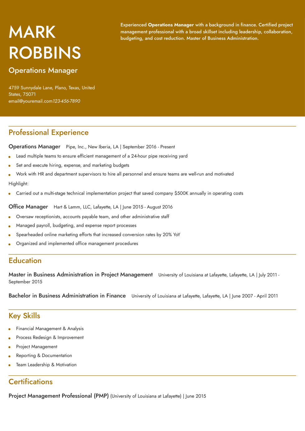 Operations Manager Resume Example