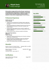 Product Manager Resume Examples Senior-Level