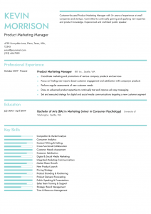 Professional Product Marketing Manager Resume Examples Entry Level