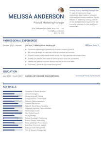 Professional Product Marketing Manager Resume Examples Senior-Level