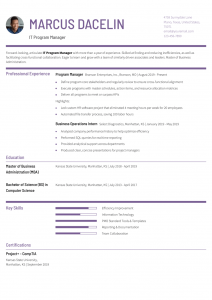 Program Manager Resume Examples Entry Level