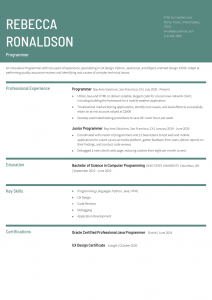 Programmer Resume Examples Entry Level