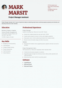 Project Manager Resume Examples Entry Level