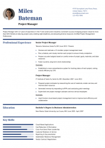 Project Manager Resume Example