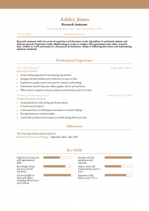 Research Assistant Resume Examples Entry Level