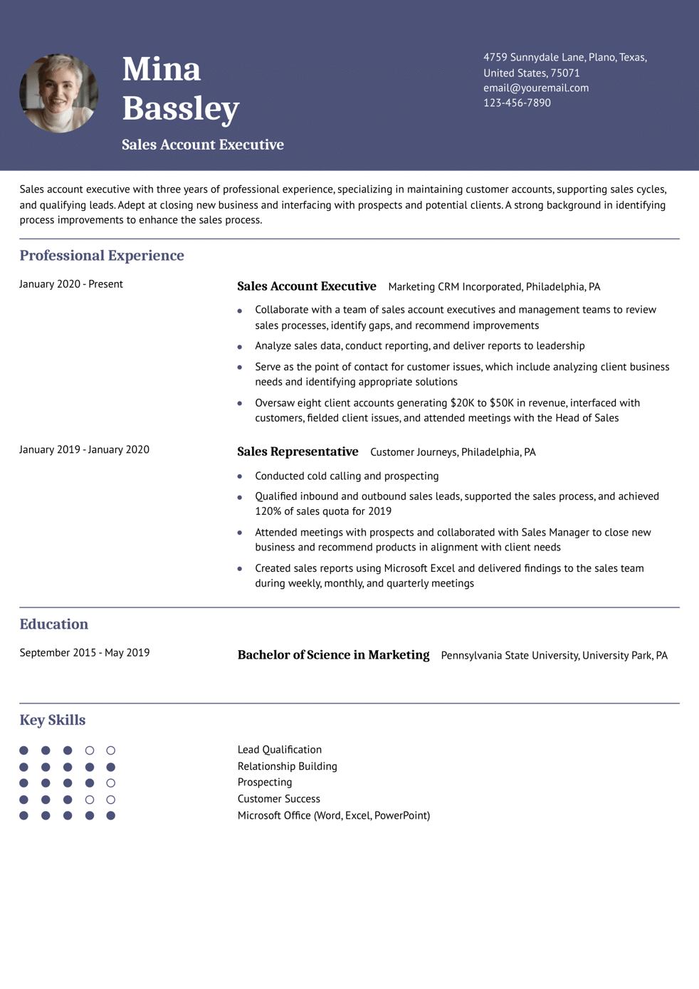 Sales Account Executive Resume Example