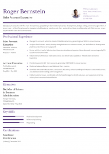 Sales Account Executive Resume Examples Senior-Level