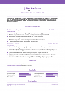 Sales Associate Resume Example