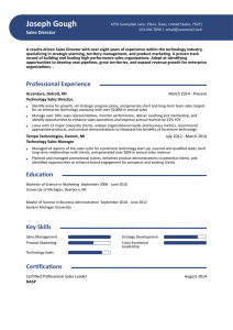 Sales Director Resume Example