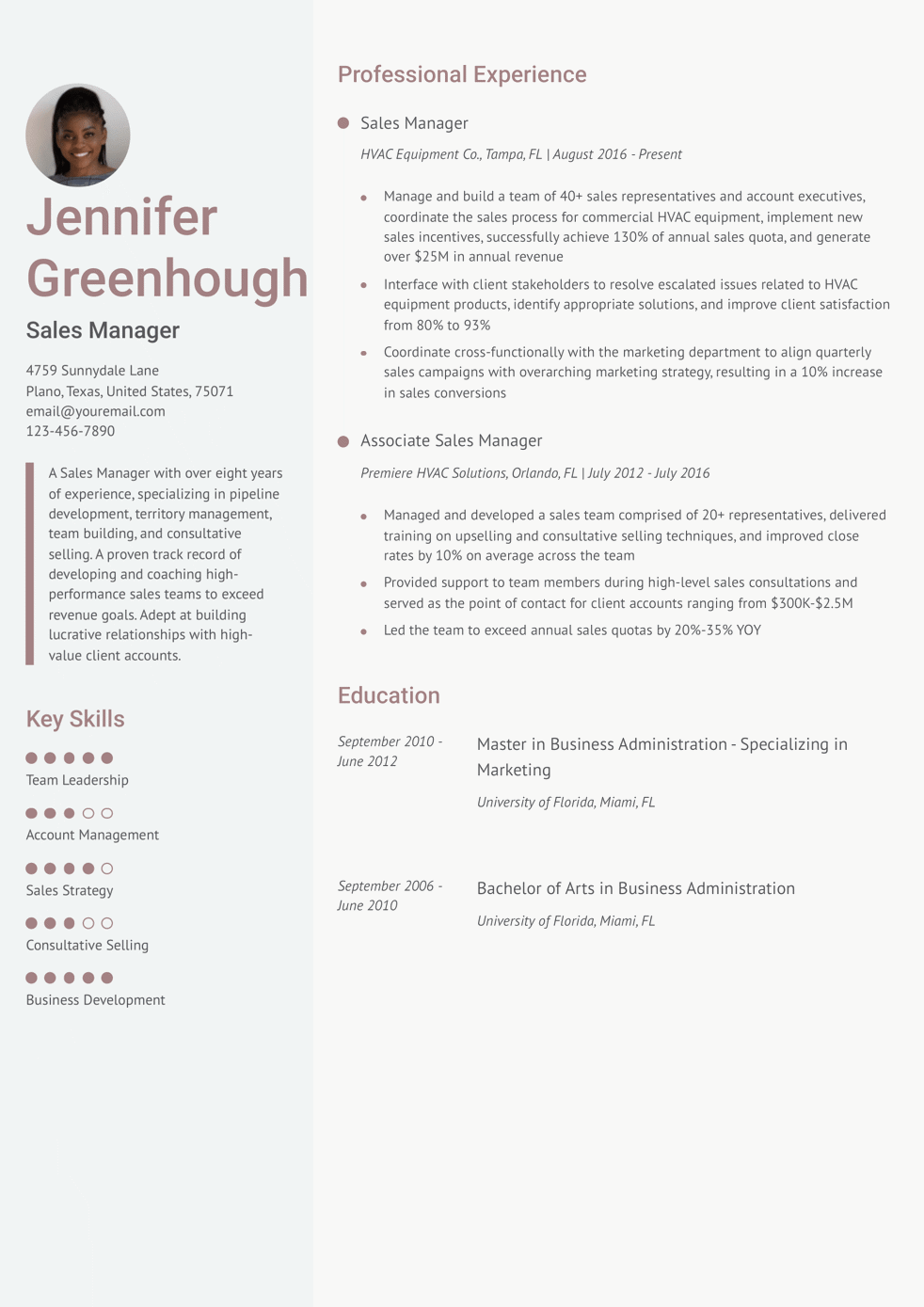 Sales Manager Resume Example