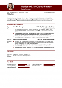 Sales Manager Resume Examples Senior-Level