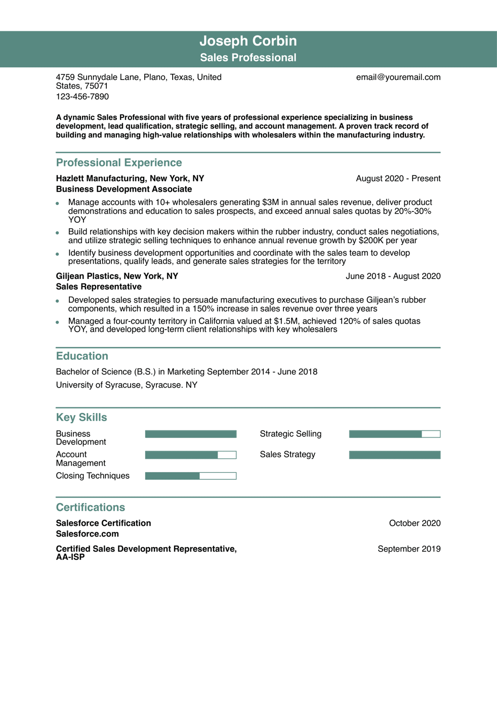 Sales Resume Example