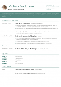 Social Media Resume Examples Entry Level