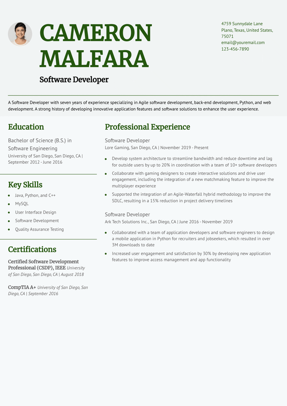 Software Developer Resume Example