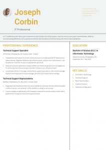 Technical Support Resume Examples Entry Level