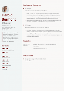 User Experience (UX) Designer Resume Examples Entry Level