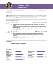 Budget Analyst Resume Examples Mid-Career