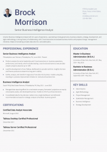 Business Intelligence Analyst Resume Examples Senior-Level