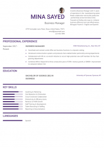 Business Manager Resume Example