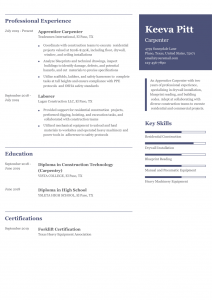 Carpenter Resume Examples Entry Level